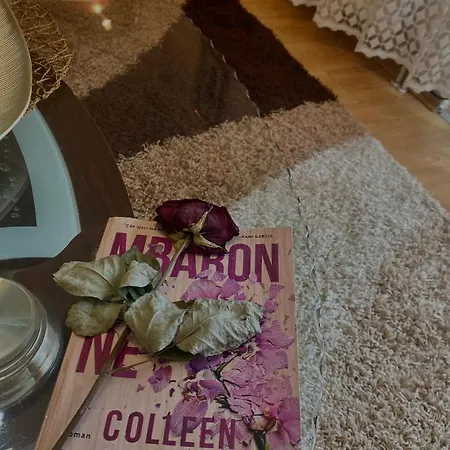 Apartment Cozy Hearth Korce